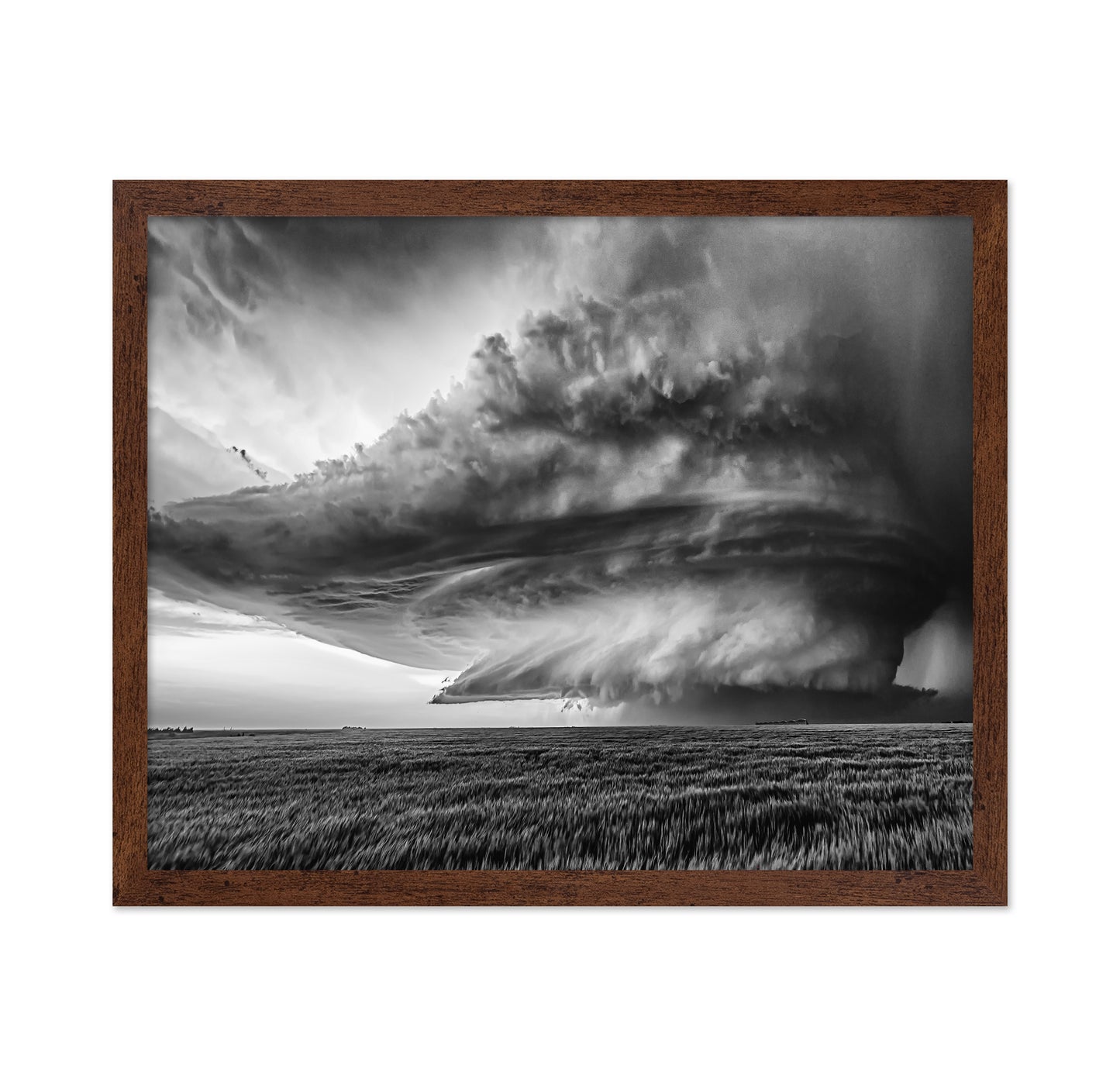 Twisted Storm Front