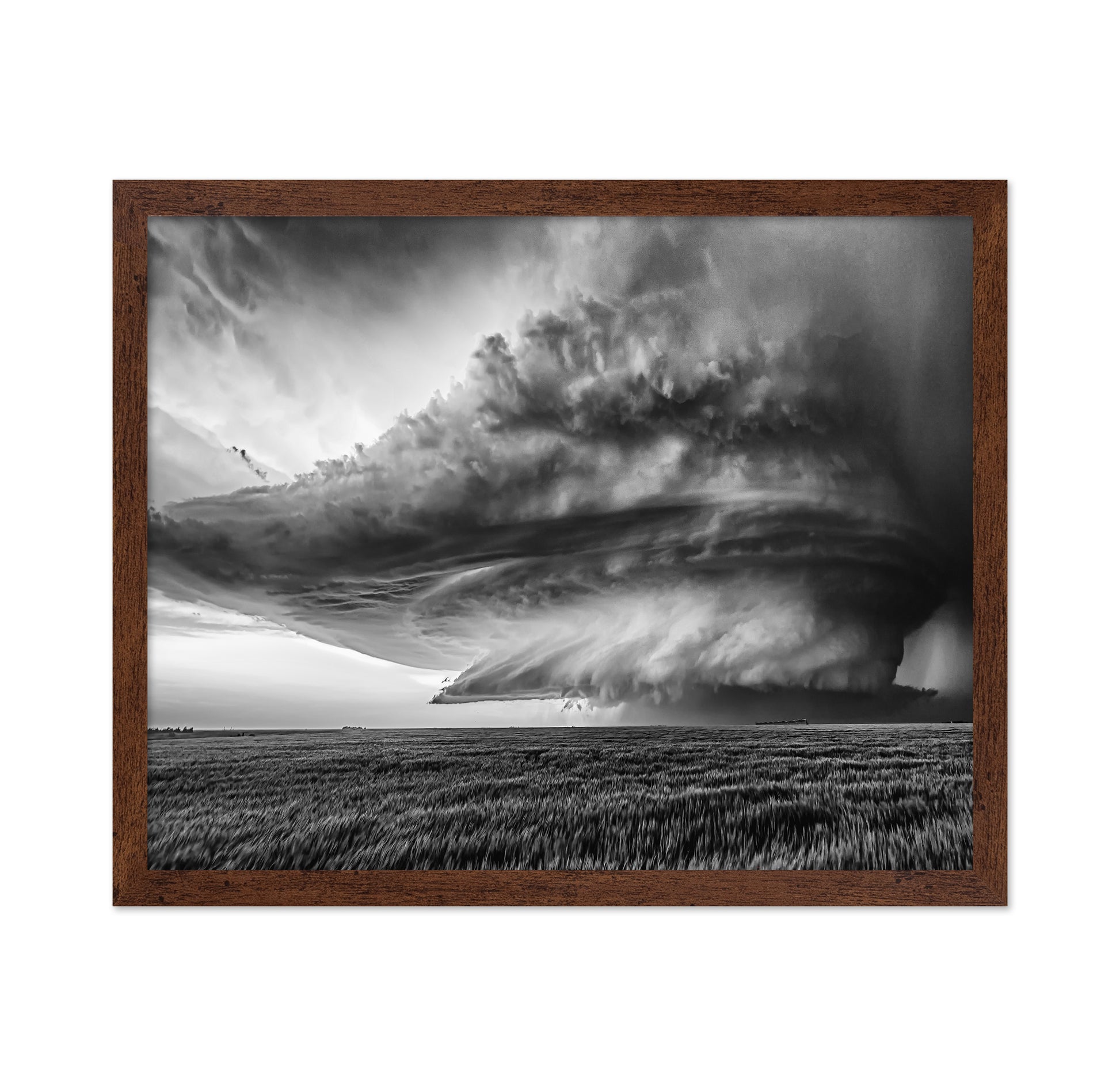 Twisted Storm Front