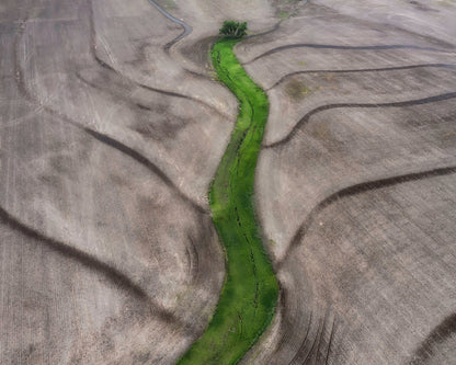 Green River Path