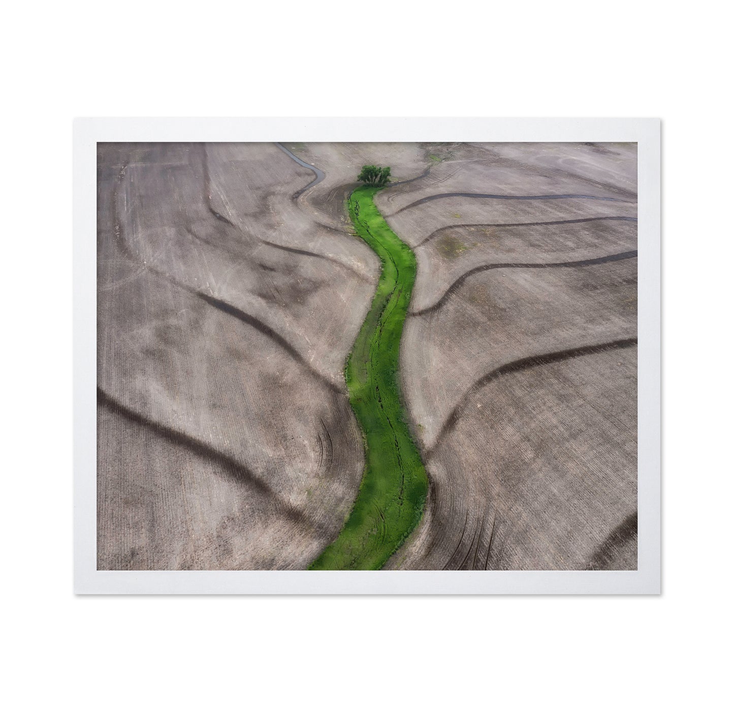 Green River Path