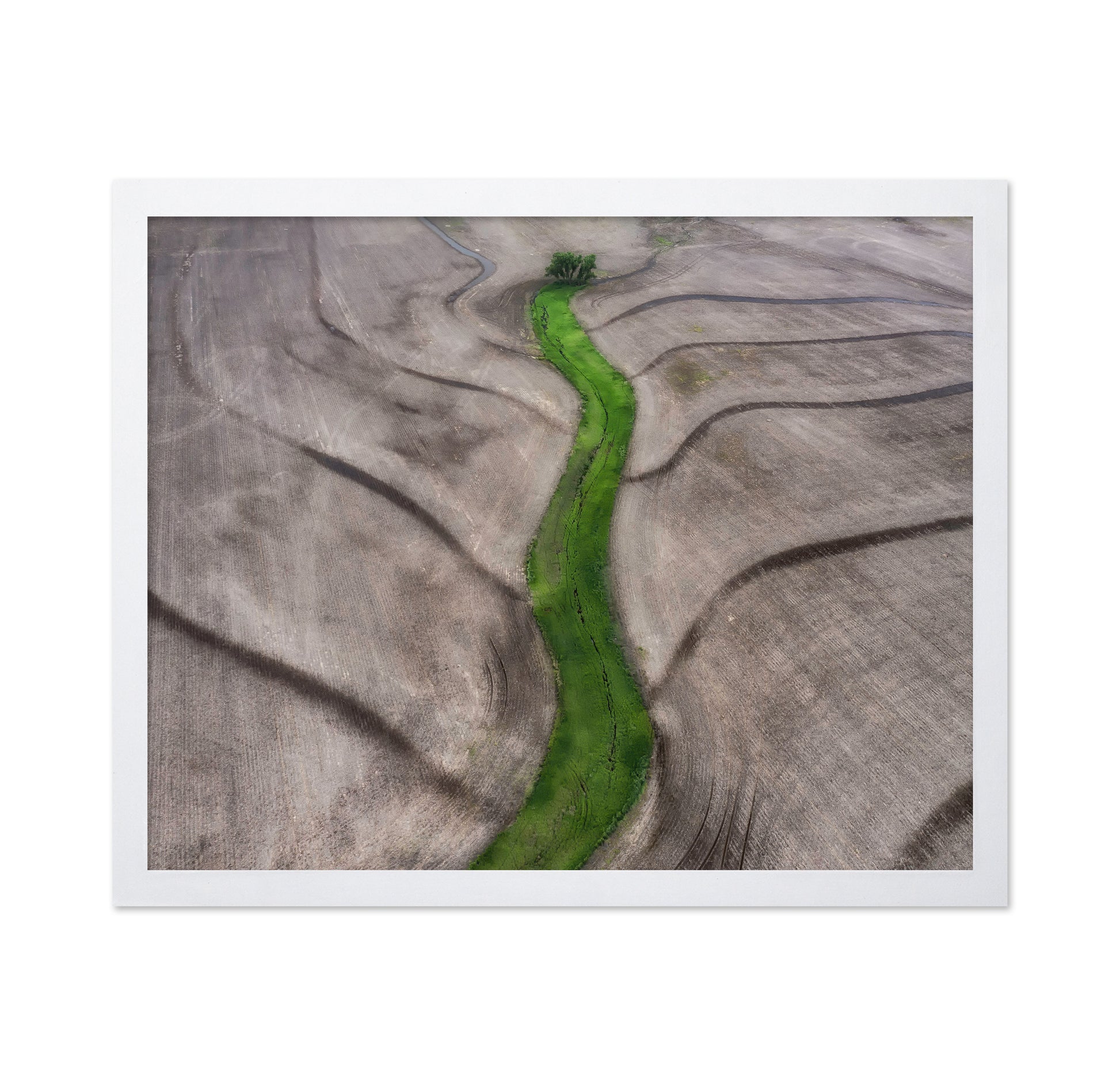 Green River Path