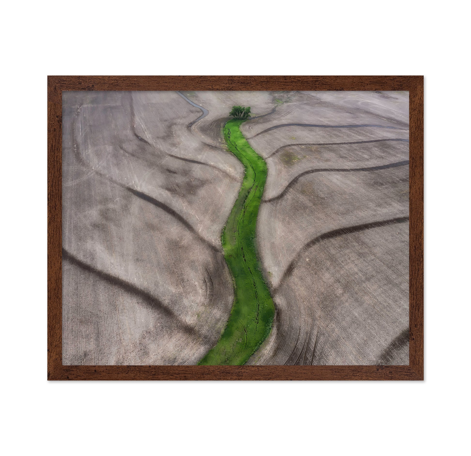 Green River Path