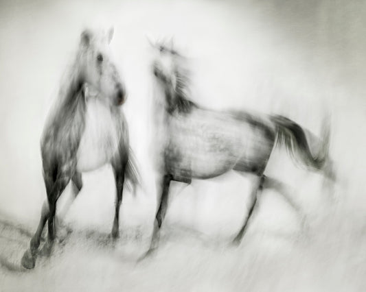 Blurred Horses Motion