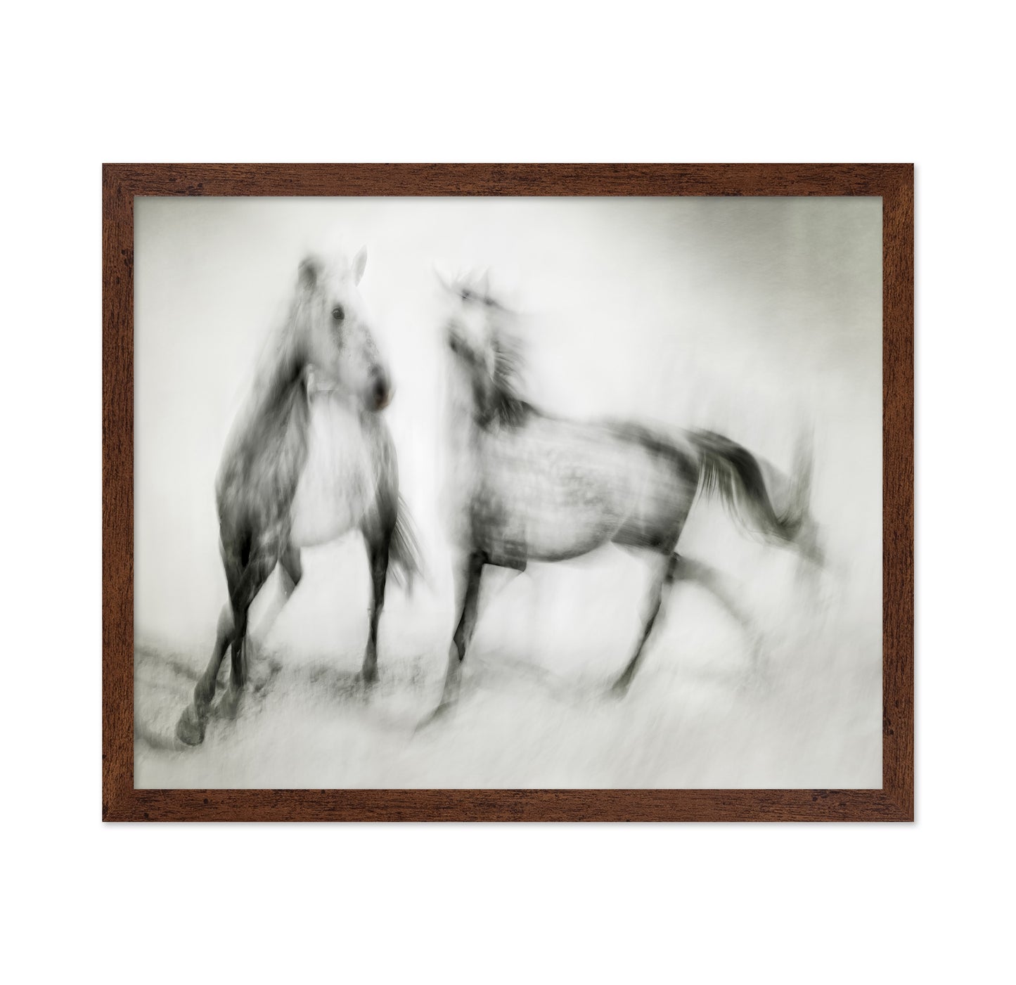 Blurred Horses Motion