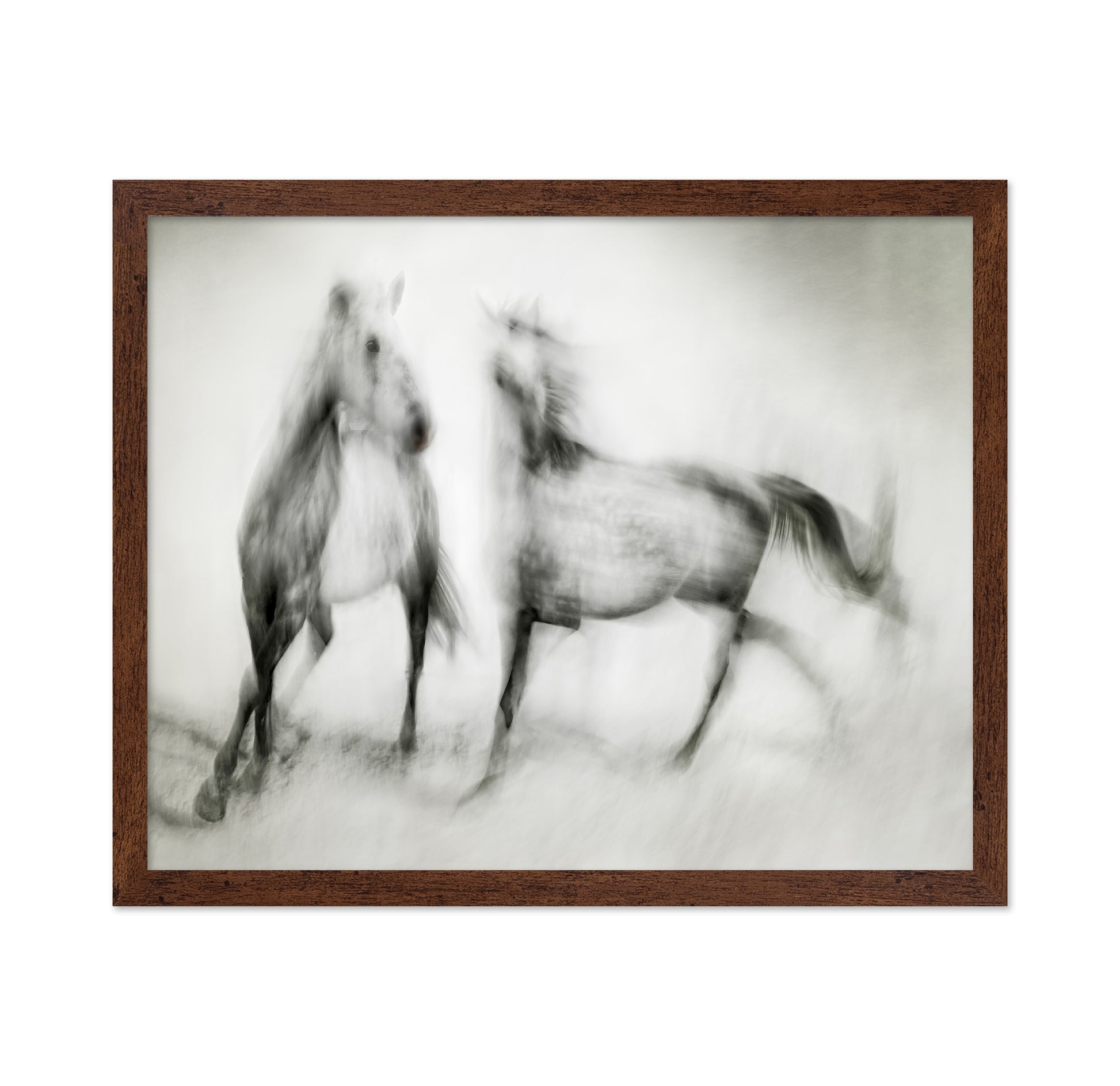 Blurred Horses Motion