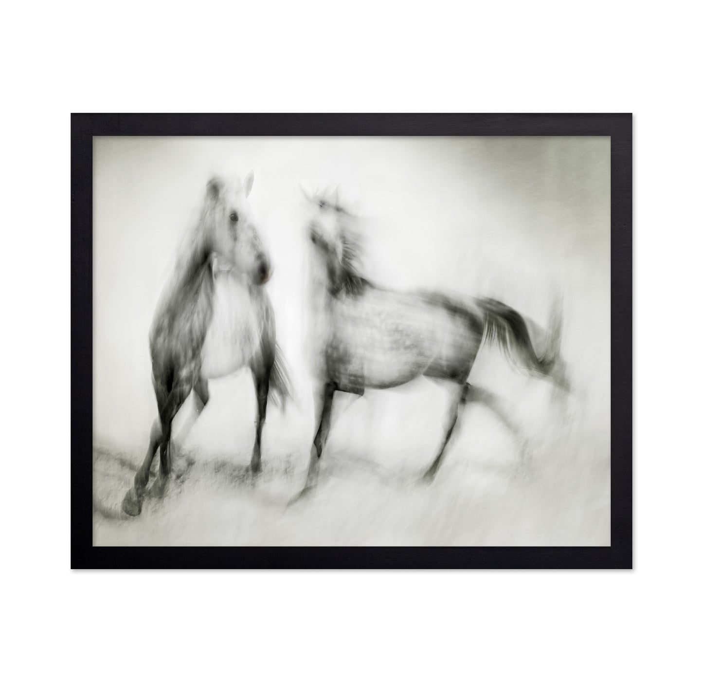 Blurred Horses Motion