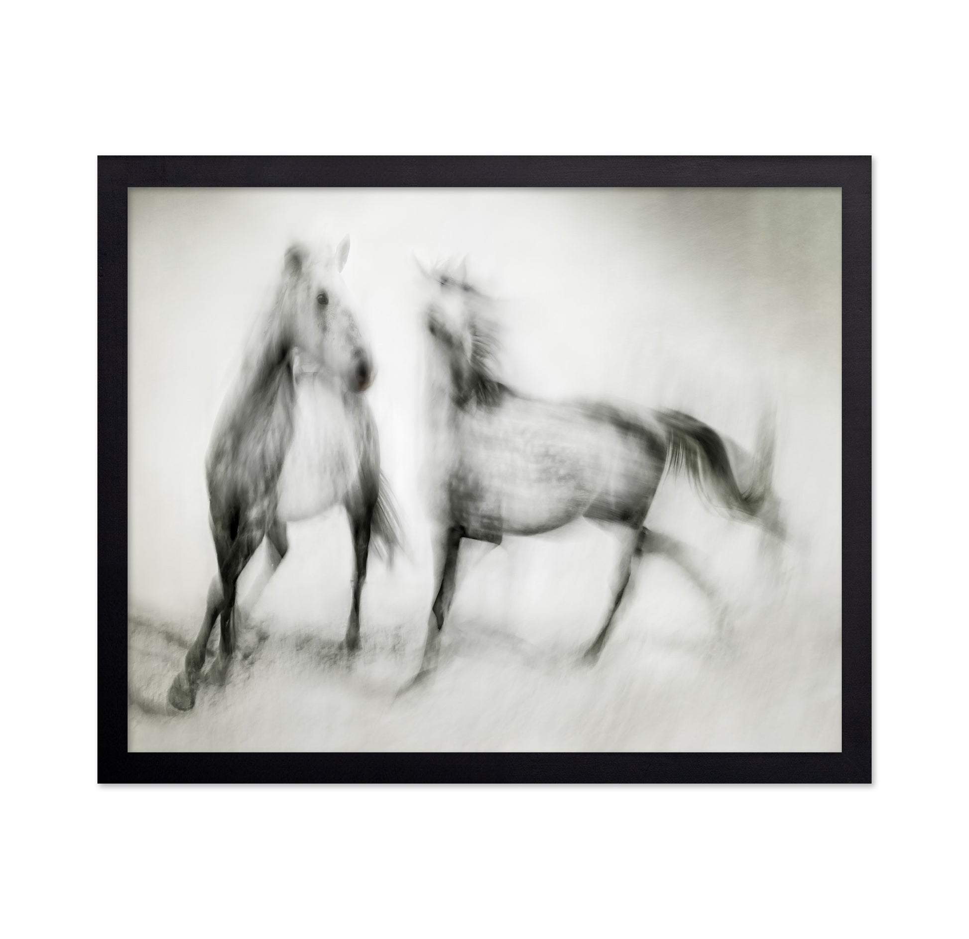 Blurred Horses Motion