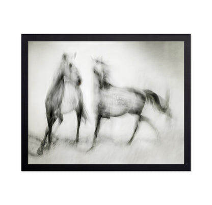 Blurred Horses Motion