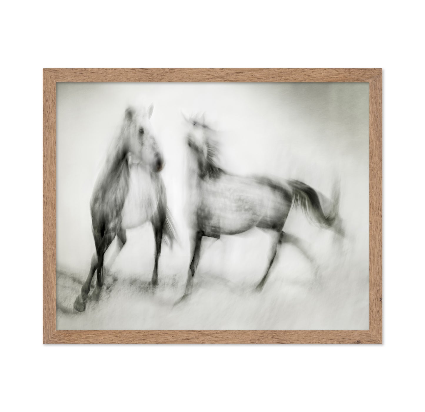 Blurred Horses Motion