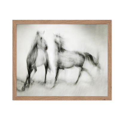 Blurred Horses Motion