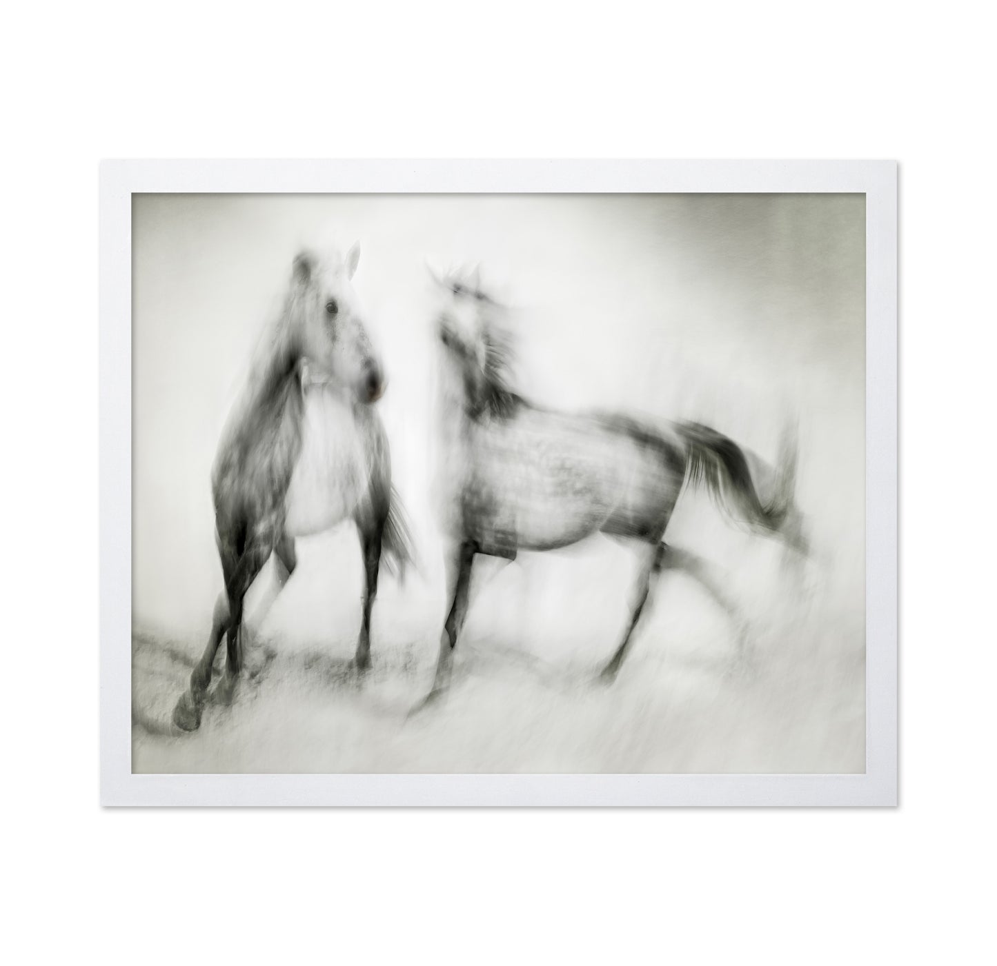 Blurred Horses Motion