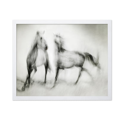 Blurred Horses Motion