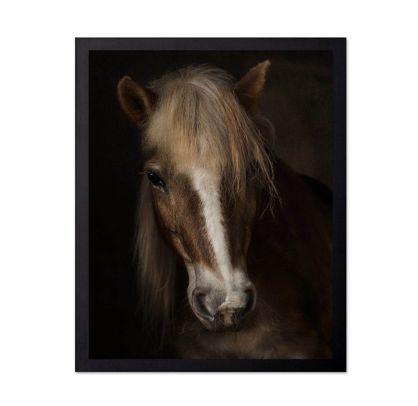 Horse Portrait Close-Up