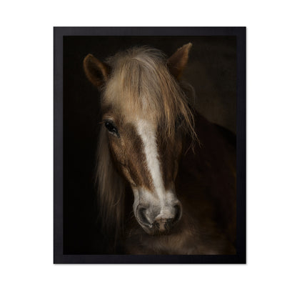 Horse Portrait Close-Up