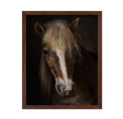 Horse Portrait Close-Up