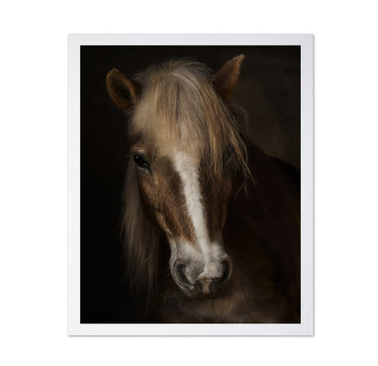 Horse Portrait Close-Up