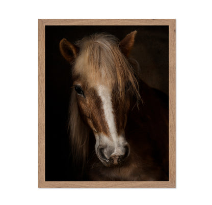 Horse Portrait Close-Up