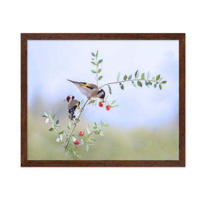 Birds on Berry Branch