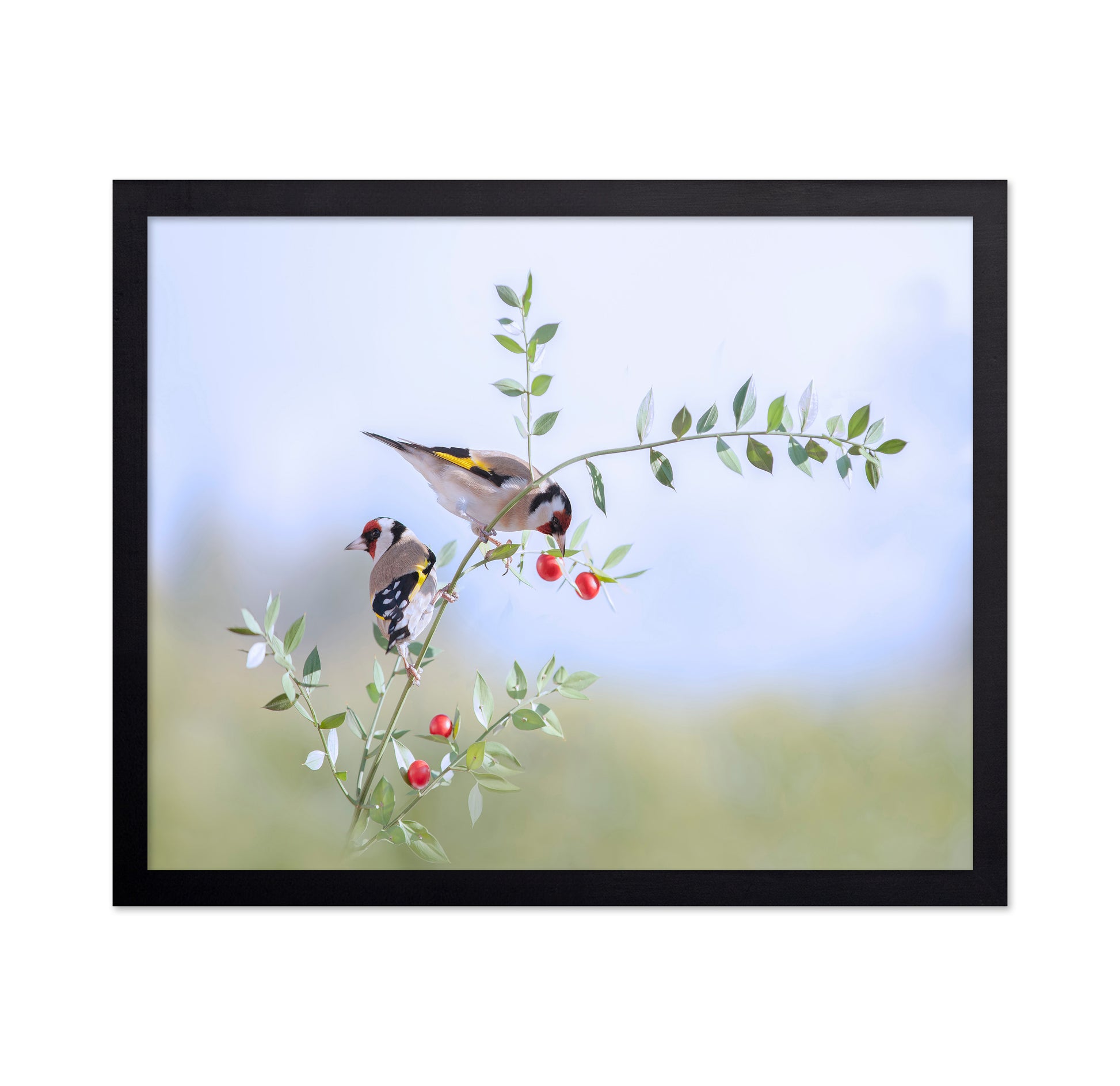 Birds on Berry Branch