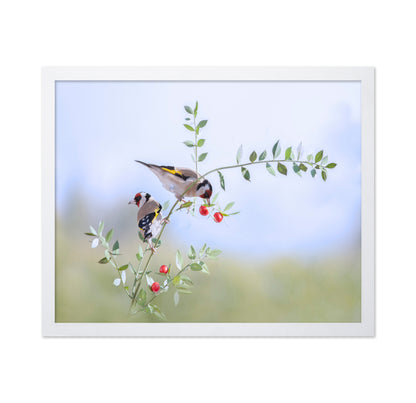 Birds on Berry Branch