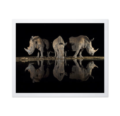 Rhinos at Night Reflection