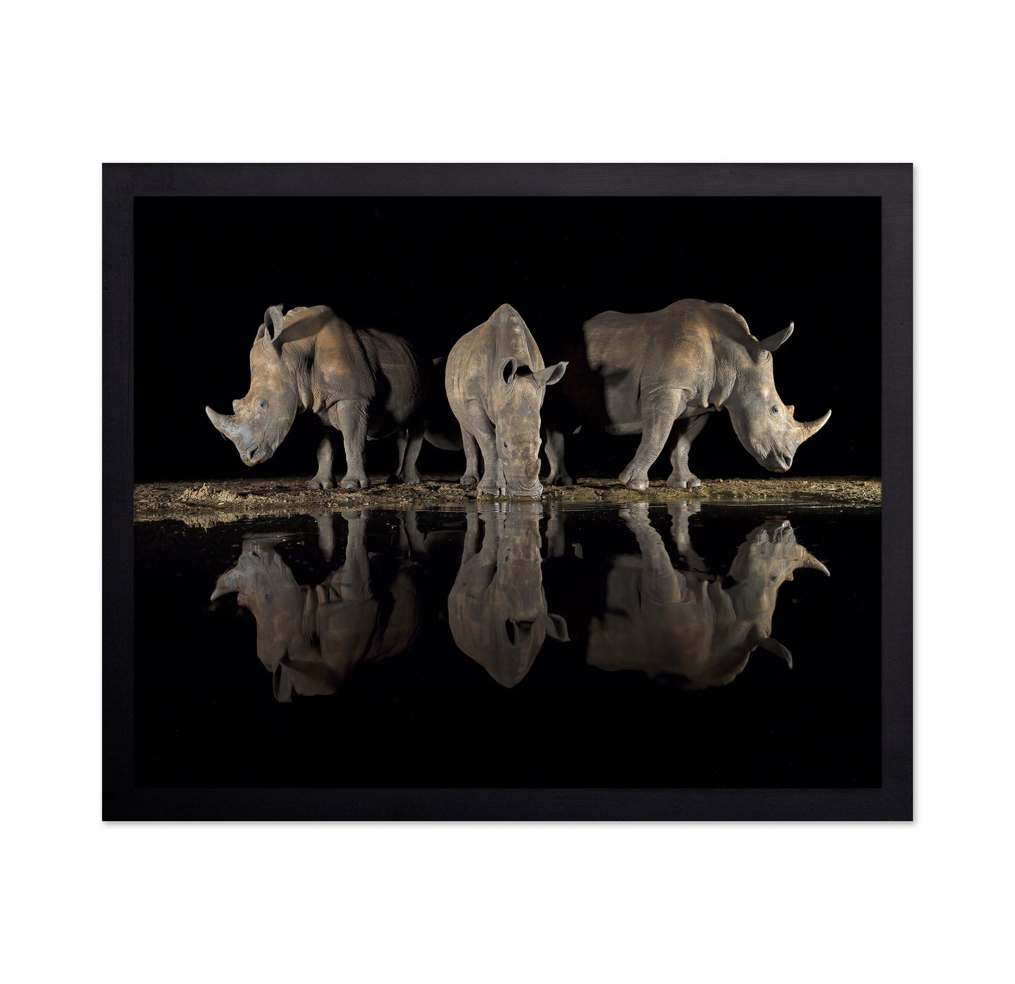 Rhinos at Night Reflection