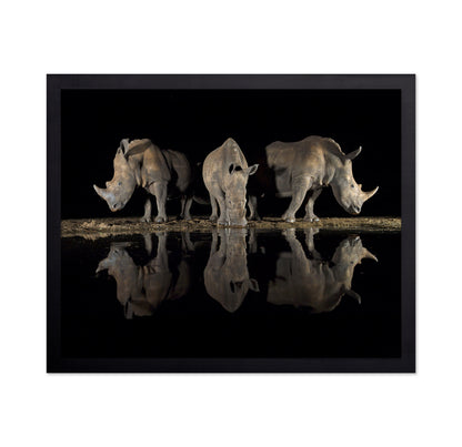 Rhinos at Night Reflection