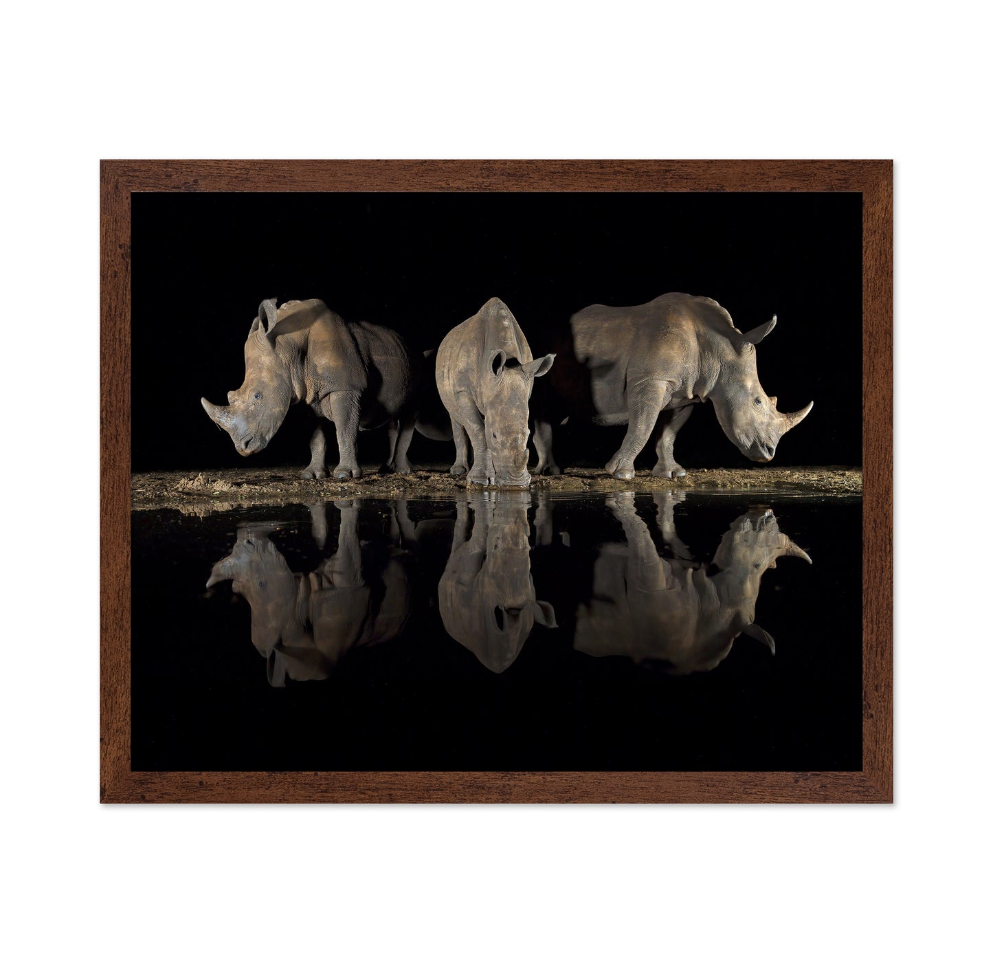 Rhinos at Night Reflection