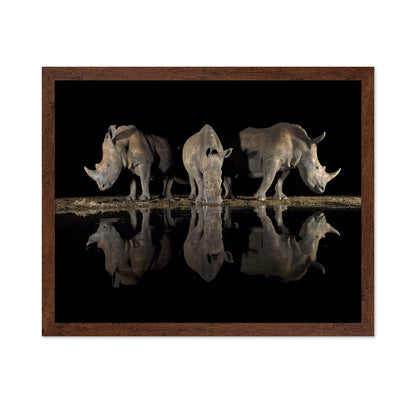 Rhinos at Night Reflection