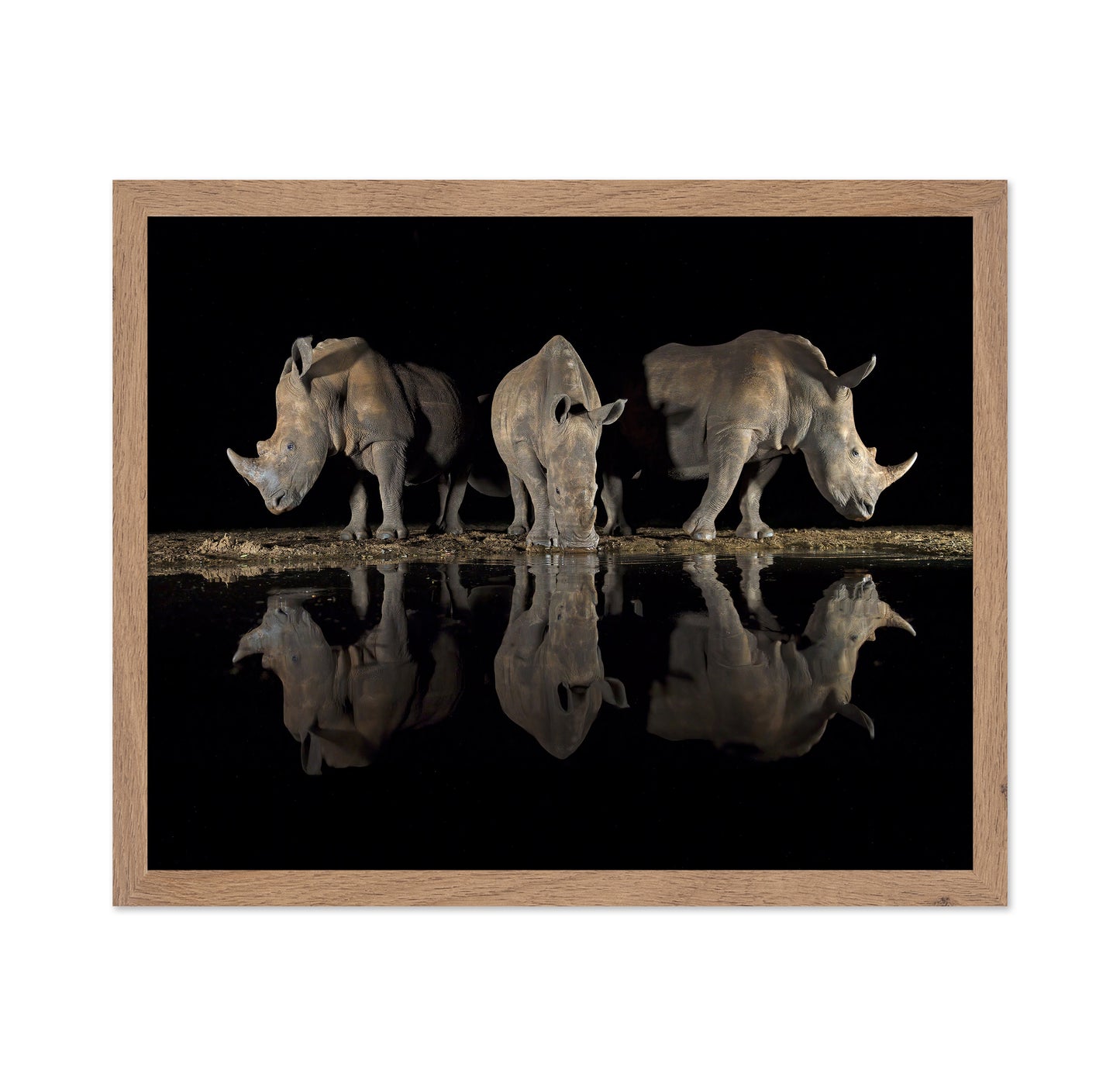 Rhinos at Night Reflection