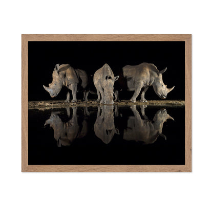 Rhinos at Night Reflection