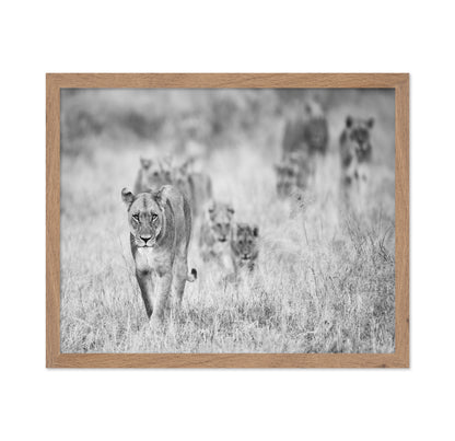 Lion Pride Approach