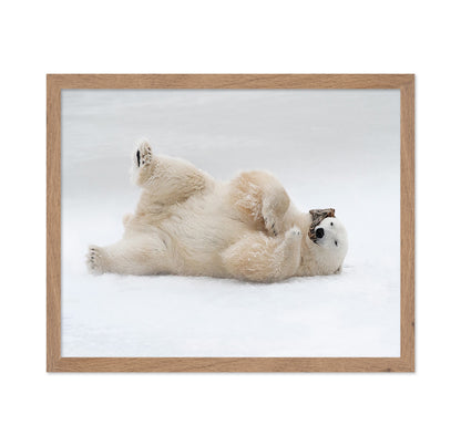 Playful Polar Bear