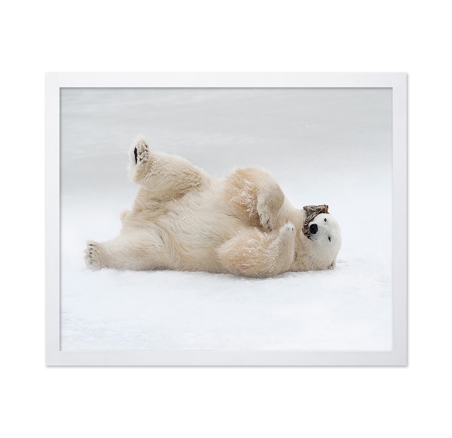 Playful Polar Bear