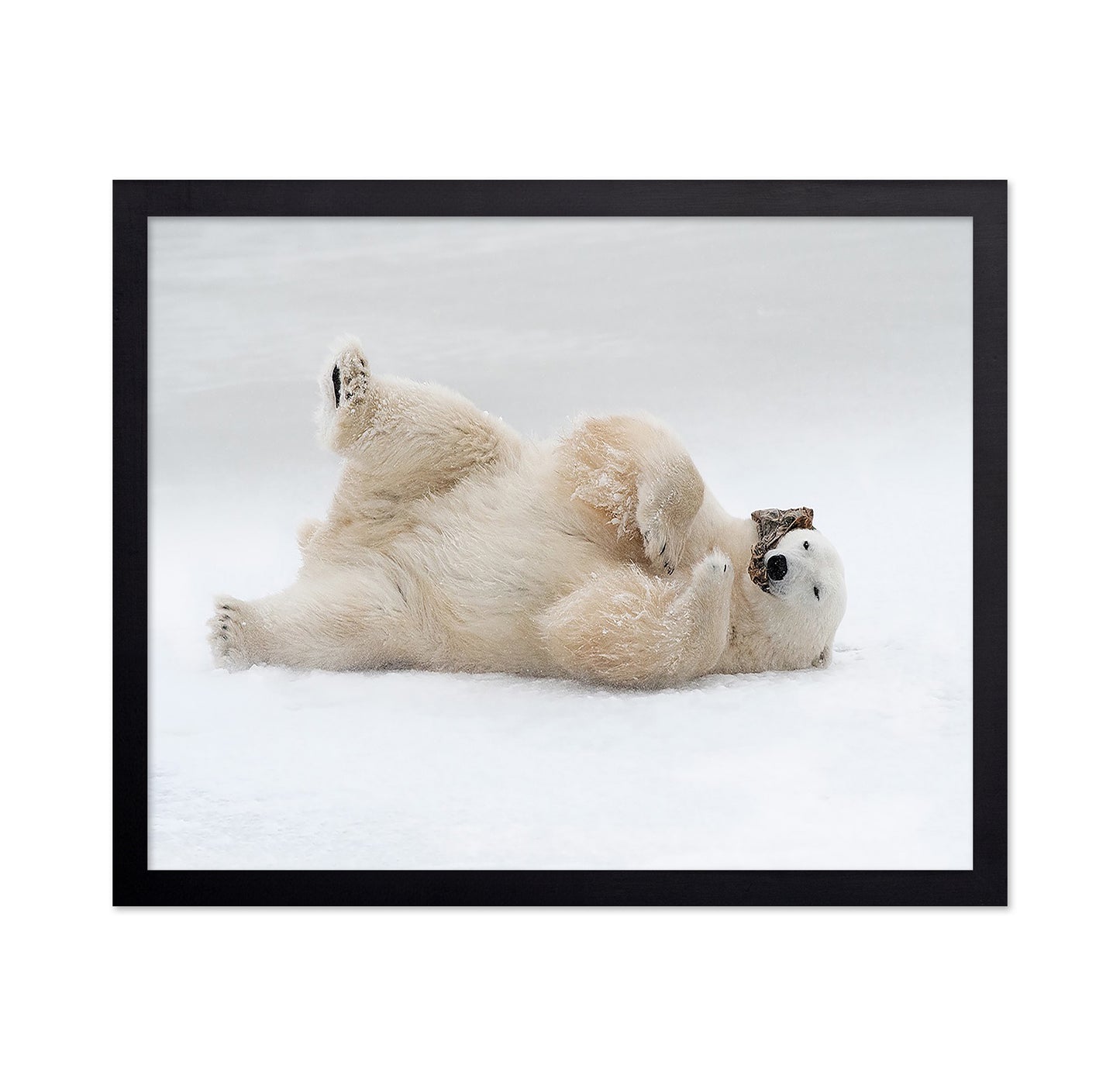 Playful Polar Bear