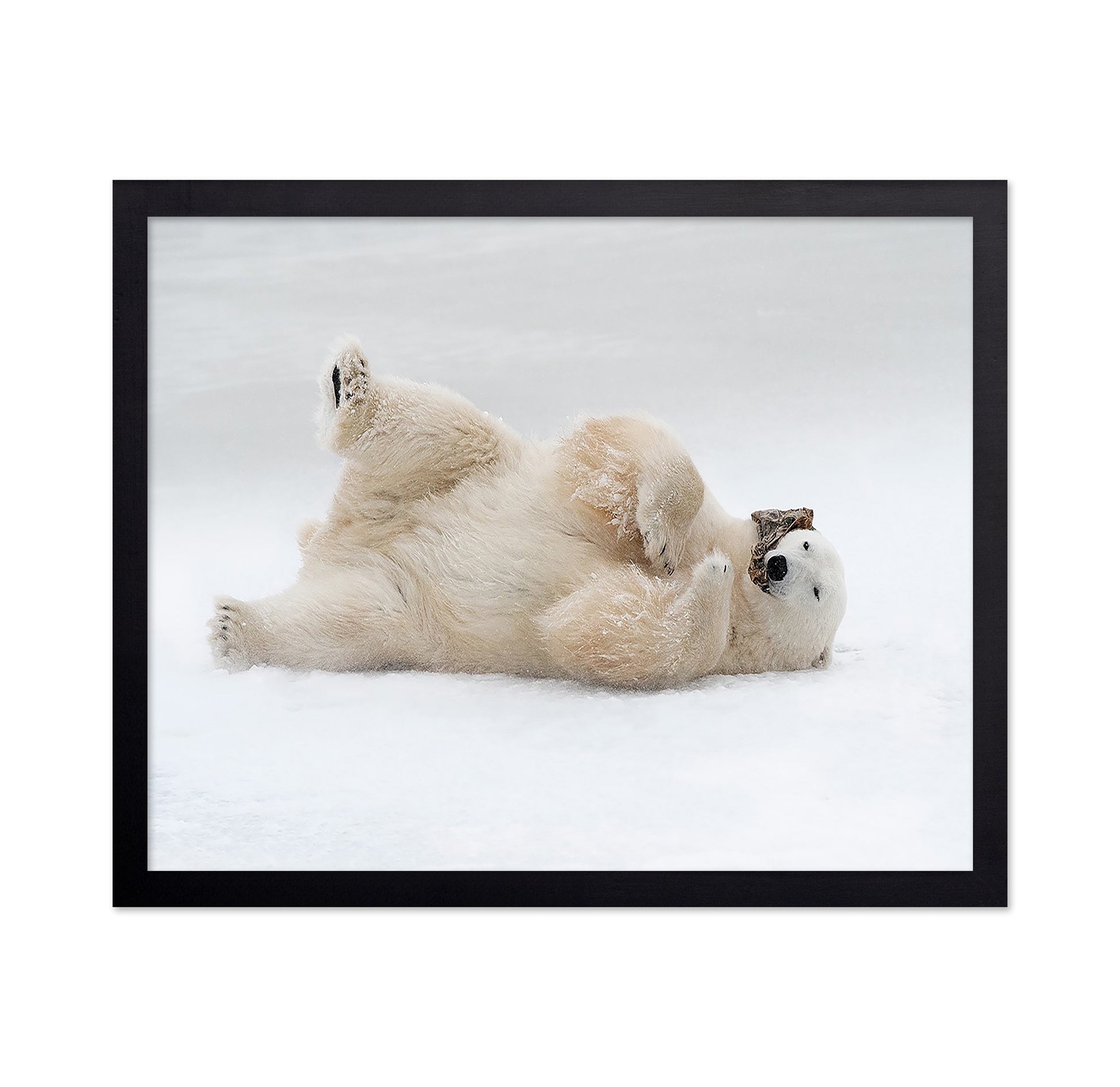 Playful Polar Bear