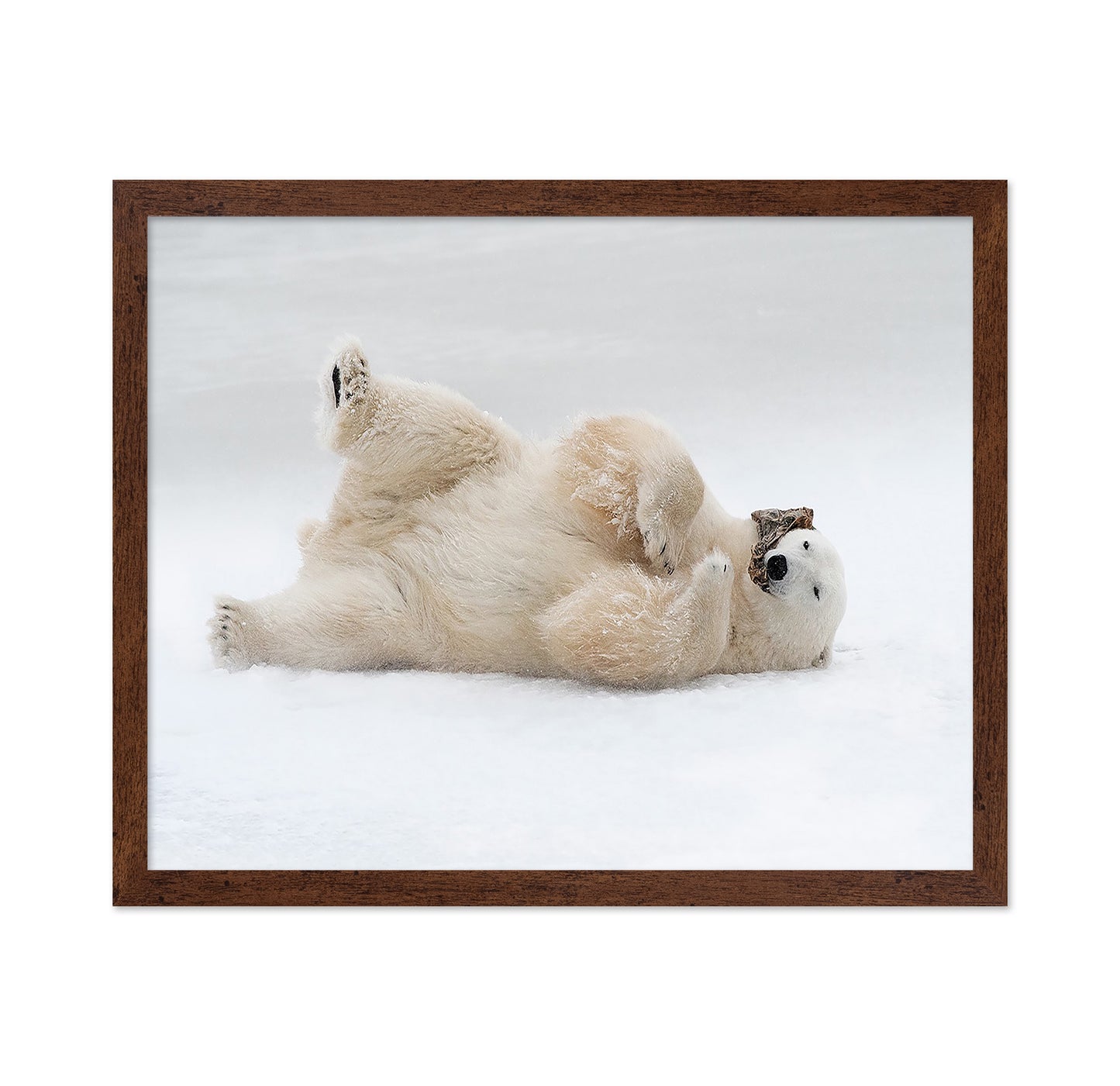Playful Polar Bear