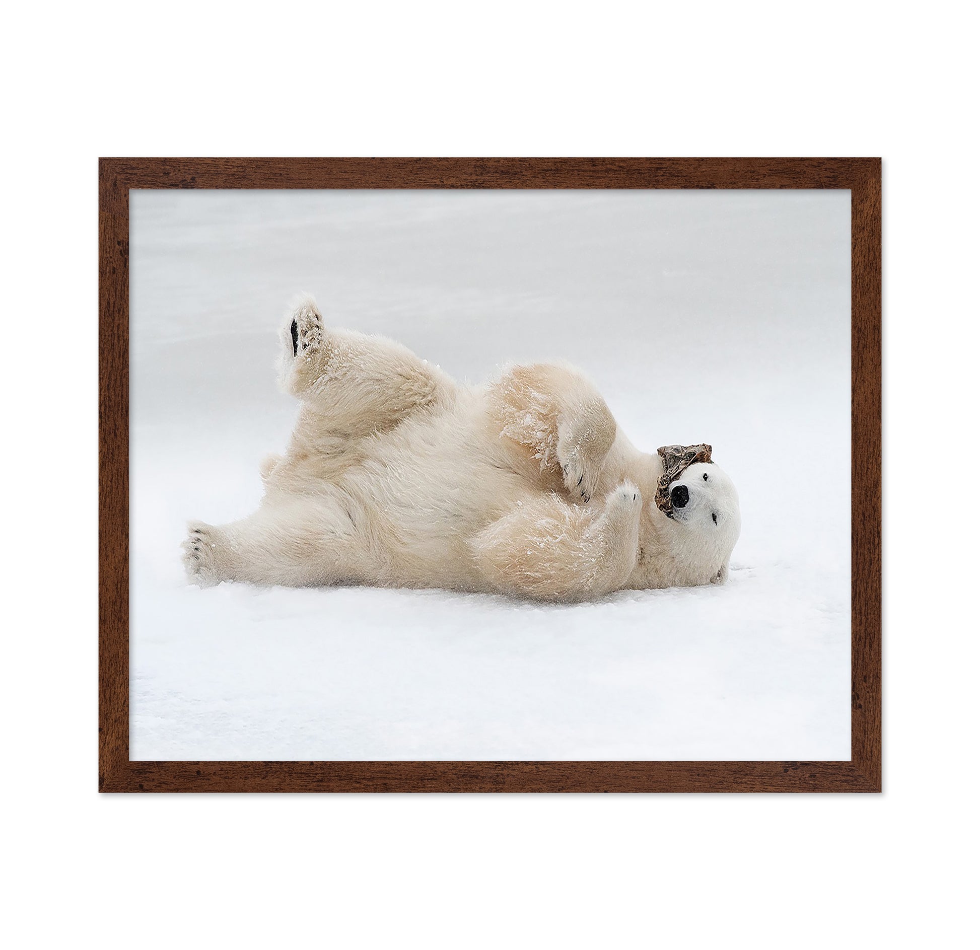 Playful Polar Bear