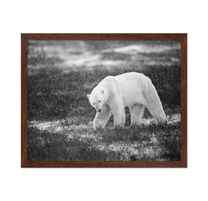 Polar Bear in Snowfall