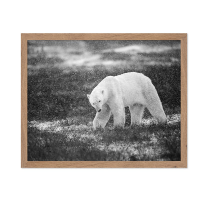 Polar Bear in Snowfall