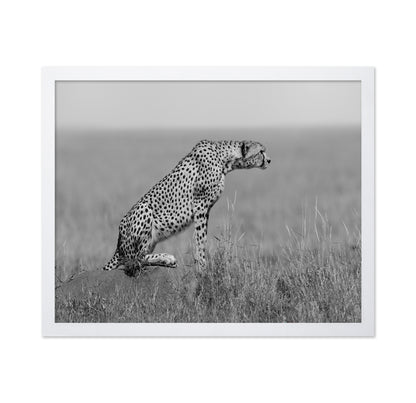 Cheetah on Watch