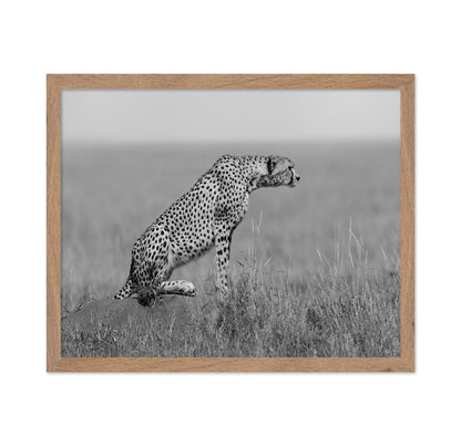 Cheetah on Watch
