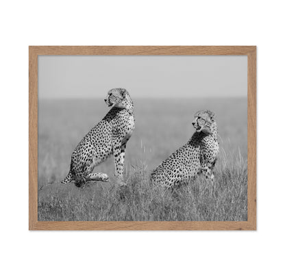 Alert Cheetah Duo