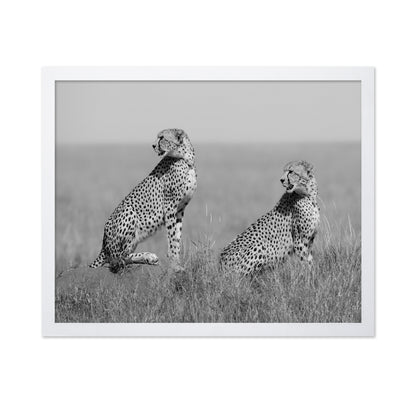 Alert Cheetah Duo