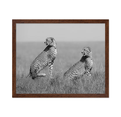 Alert Cheetah Duo