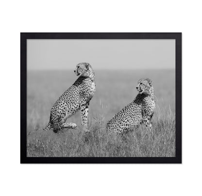 Alert Cheetah Duo