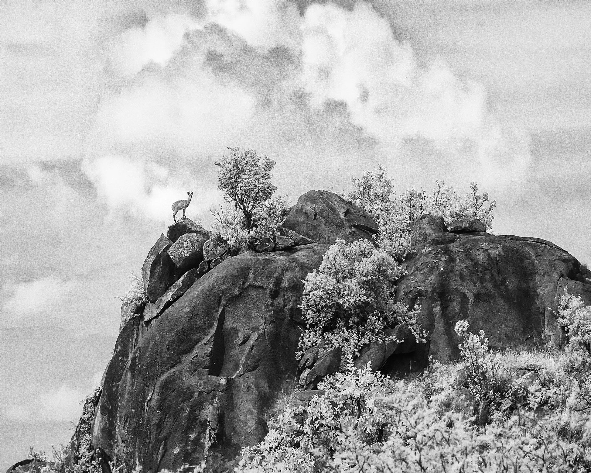 Klipspringer Summit