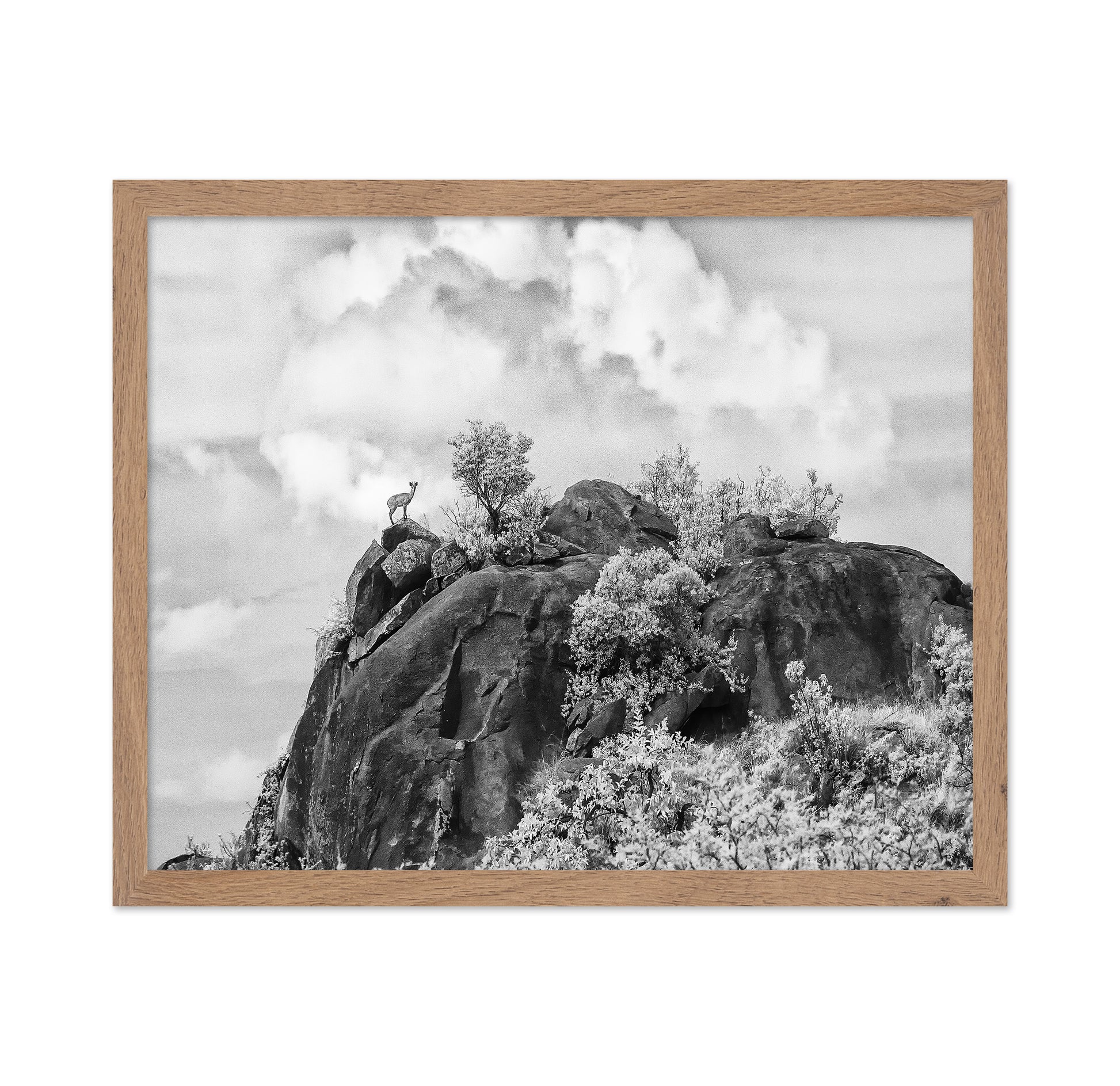 Klipspringer Summit