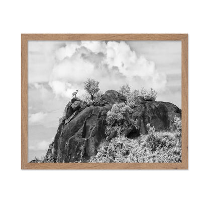Klipspringer Summit