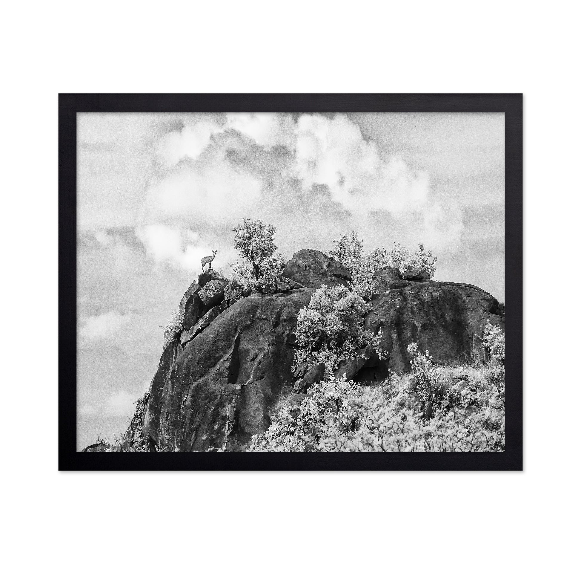 Klipspringer Summit
